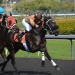 Live Betting Strategies